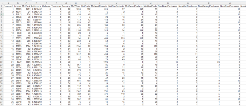 cleaned dataset in Excel